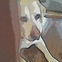 Max Cizauskas (@maxmcizauskas) 's Twitter Profile Photo