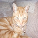 Trent Mcclain - @TrentMcclain1 - Twitter