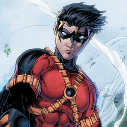 Outstanding athlete Master martial artist, acrobat, and detective. Genius-level intellect, Teen Titans and Batman Inc.