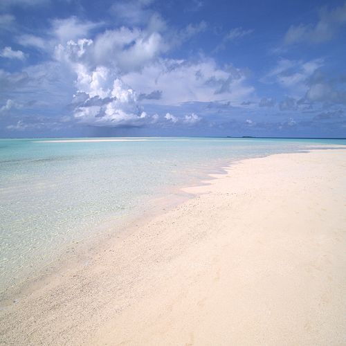 MichelleSchul19's profile picture. I love surfing!Dexter Schultz