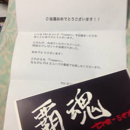 人付き合い苦手。