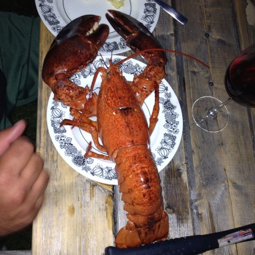 ianwstone's profile picture. Tourism advocate, Outdoor enthusiast, Marketing Specialist in NL Tourism Crown Jewel Gros Morne National Park!