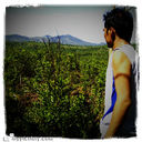 muhammad habibi - @raza_bee80 - Twitter