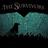 The Survivors Series