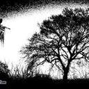 eloisa paz contreras - @animala456 - Twitter