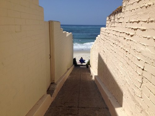 ridgeweird's profile picture. 