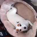 Susan Quinlan - @quinlan_susan - Twitter