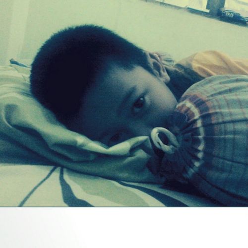 programmer, web programmer, web designer, networking, system analysis
nature lover, cooking