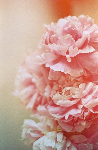 kimdochi1004's profile picture. 