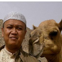 mazzwied's profile picture. 