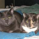 Wally James - @Wjames1John - Twitter