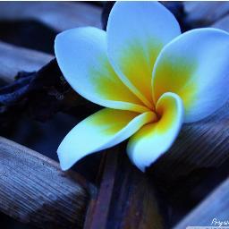 AshleyD0123's profile picture. 