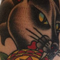 Col McBryde (@col_mcbryde) 's Twitter Profile