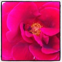 Mikayla Mitchell - @I_luv_ninja101 - Twitter