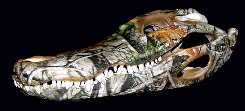 We are located in Ocala, Florida. A hydrographic company.