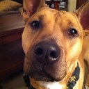 Jeffrey Wessel - @JWess11 - Twitter