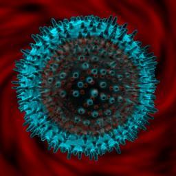 ImmuneSystemBIO's profile picture. 