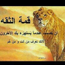 لا اله الا الله محمد رسول الله صل الله عليه وسلم