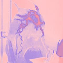 hrhark's profile picture. 