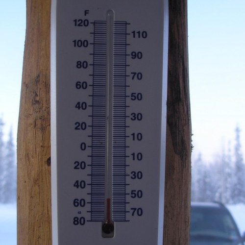 petelasch's profile picture. 