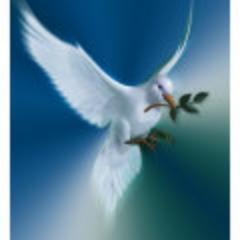 carolindavc's profile picture. 