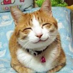 twaf004's profile picture. 犬好き、猫好き、人間好き☆