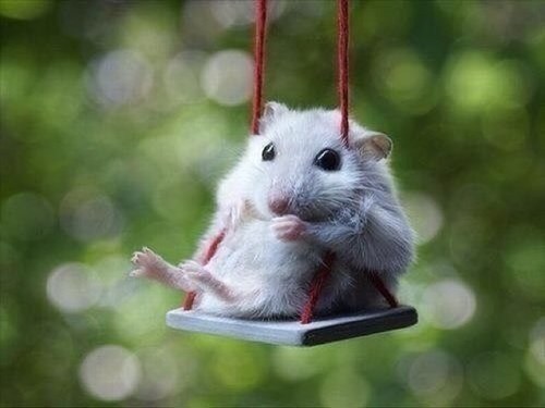 Смотрю удивляюсь делюсь:-)