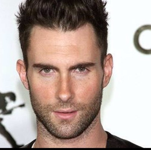 Nathan Terry Sweet || 35 || married || Actor and singer ||