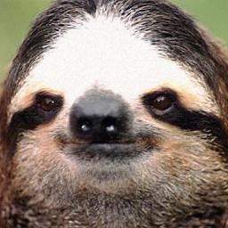 Im a toe and i smell and stuff