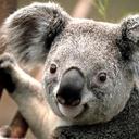 Jack Golding - @jackatmetrix - Twitter