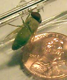 geothermal_NRG's profile picture. New Port Richey Geothermal Services. Learn about the latest in alternative energy.