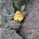 Jo Green - @JXAASA - Twitter