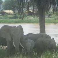 Muoki (@mwakiz) 's Twitter Profile
