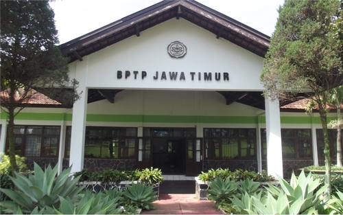 | Balai Pengkajian Teknologi Pertanian Jawa Timur | Info Pertanian | Share seputar dunia pertanian | Petani juga ingin ngeksis |