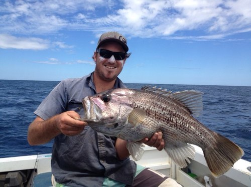 jeza1487's profile picture. 