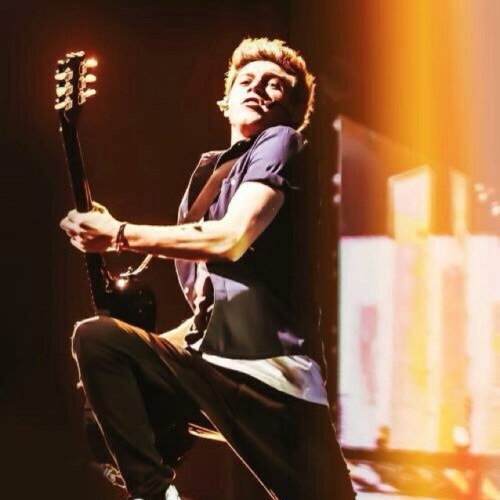 hey follow @horanmint in return love you