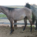 dan dudden - @dandudden - Twitter