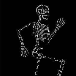 wafflewithgrid's profile picture. 