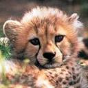 Lance Gilmore - @GilmoreLance - Twitter