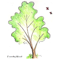 Foundry Wood (@foundrywood) 's Twitter Profile