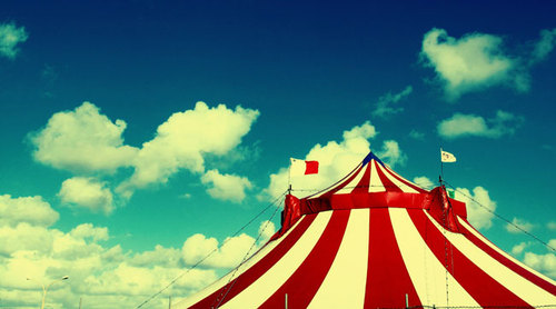 circusmagazine's profile picture. 