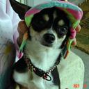 Julia Cooper - @julcpr - Twitter