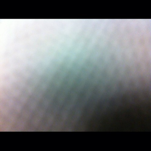 licomega's profile picture. 