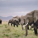 Béatrice Roy - @RoyAubin - Twitter