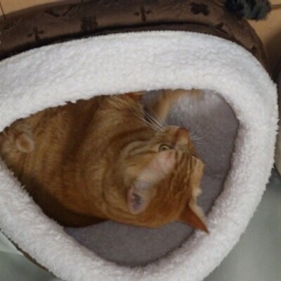 なかむら