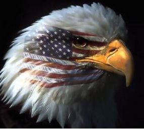 scamhunter's profile picture. : Grant Money Scams seem like petty theft, until you look at the bigger picture