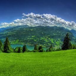 vuhaihong's profile picture. 