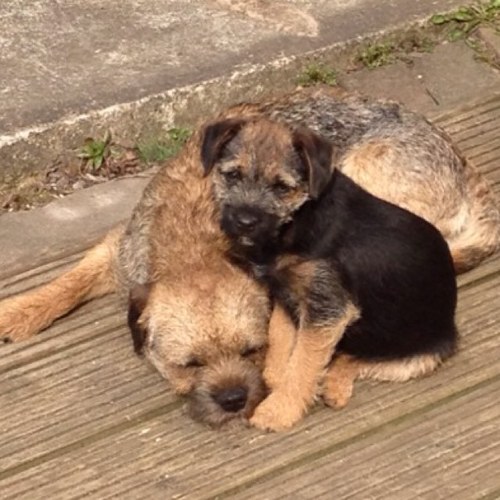 Hanns86's profile picture. Derry boy, living in Euxton/Chorley. Interested in football, golf, health care and anything topically