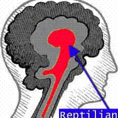 Gianpz's profile picture. Sono il figlio della servⒶ