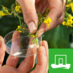 Plantbreeding WUR (@pbr_wur) Twitter profile photo Plantbreeding WUR (@pbr_wur) Twitter profile photo